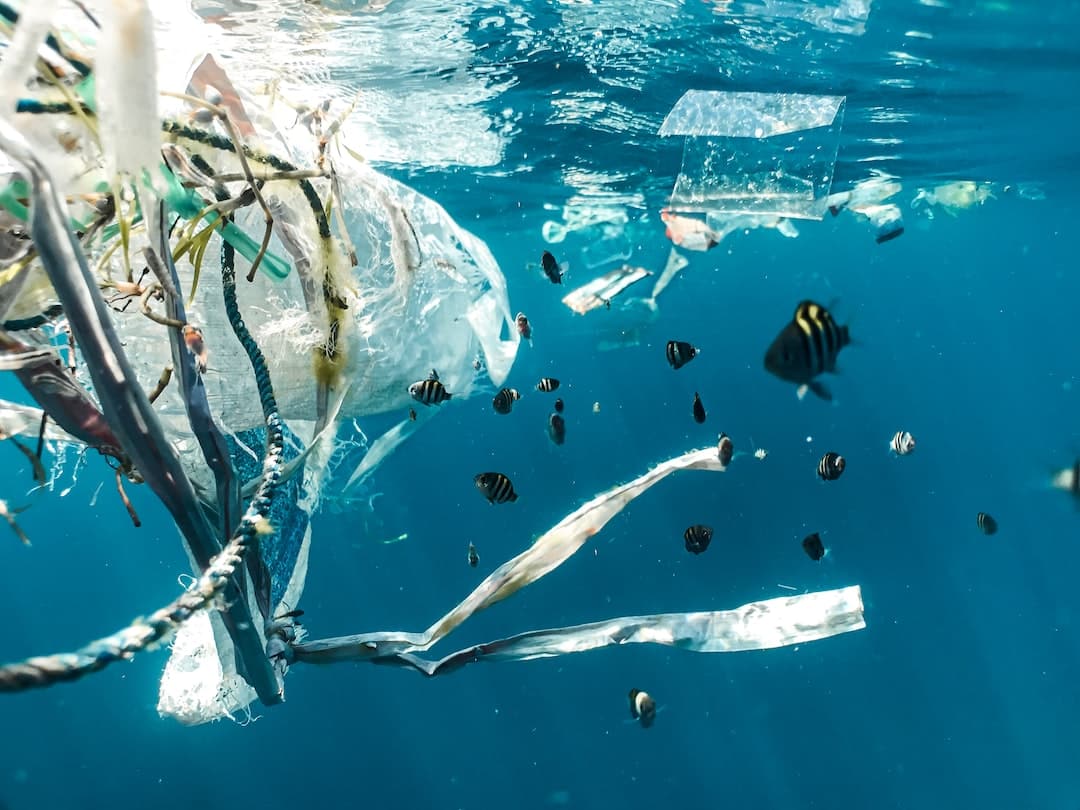 Plastic floating in blue ocean with fish around