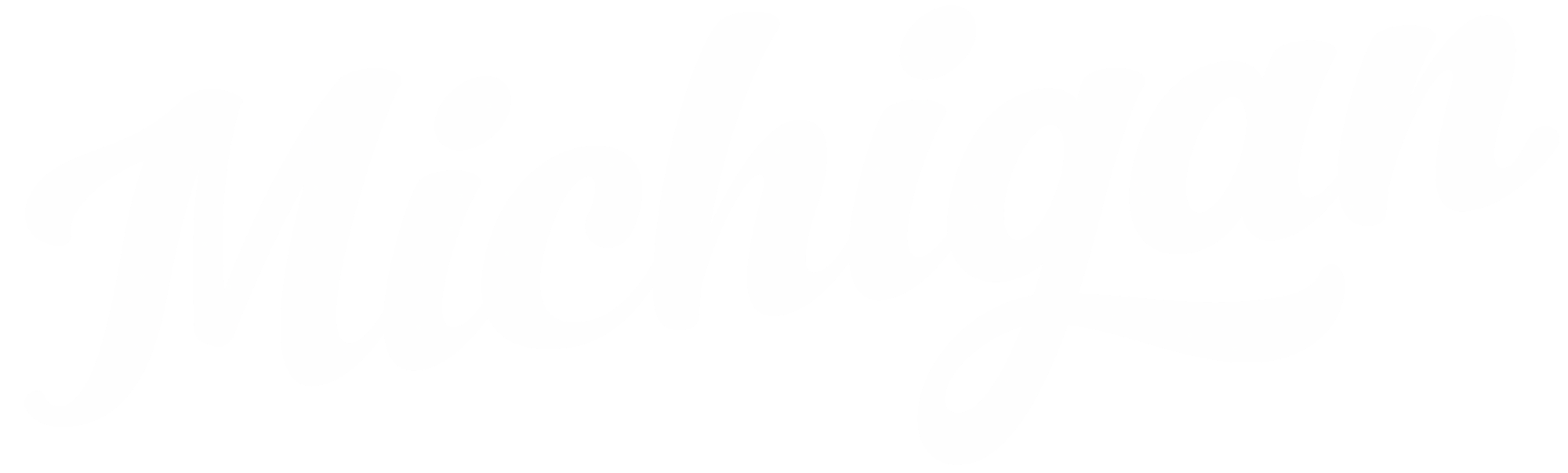 Michigan Logo